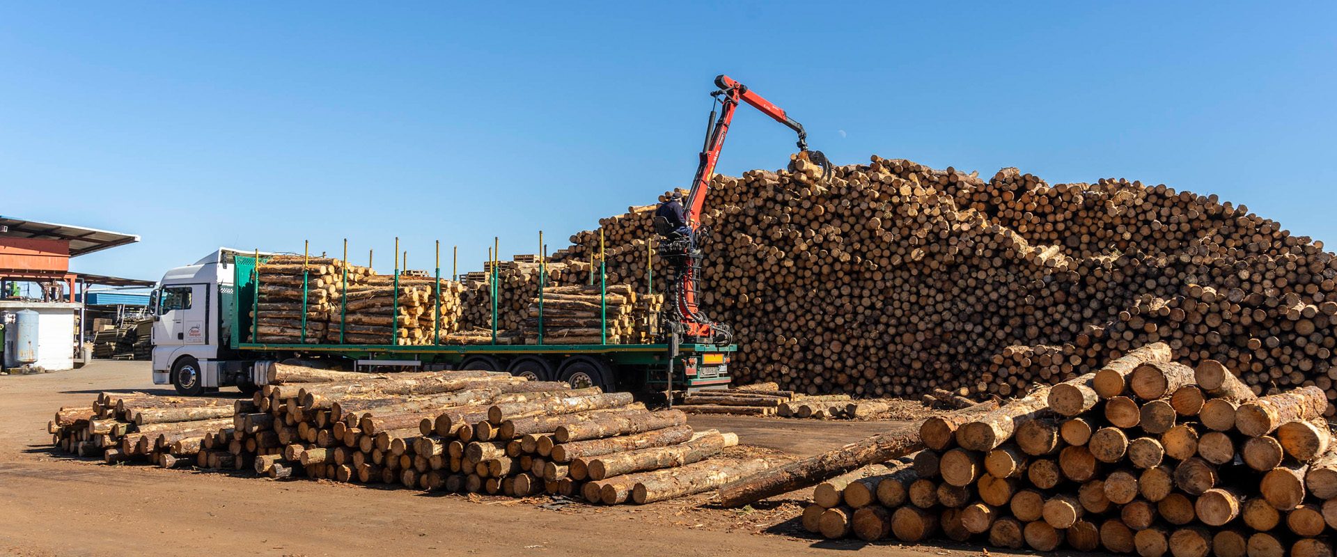 Mosquera Villavidal - Pluma recogiendo troncos